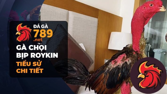 Lí do mà Bịp Roykin nổi tiếng đến như vậy?