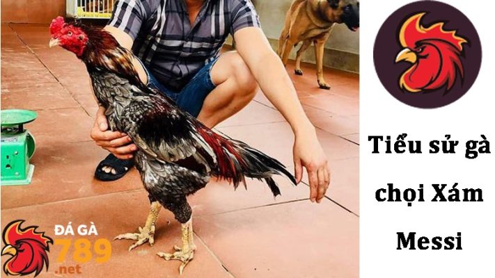 Tiểu sử của Xám Messi